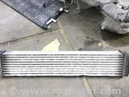 ФОТО Интеркулер для Audi (Ауди) A4 B8 - 8K2, 8K5 (08.2007-11.2015) Киев