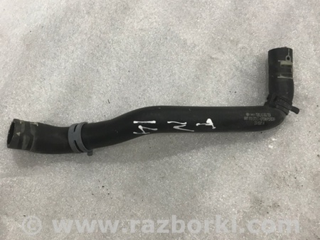 ФОТО Патрубок системы охлаждения для Audi (Ауди) A4 V B9 - 8W (2015-) Київ