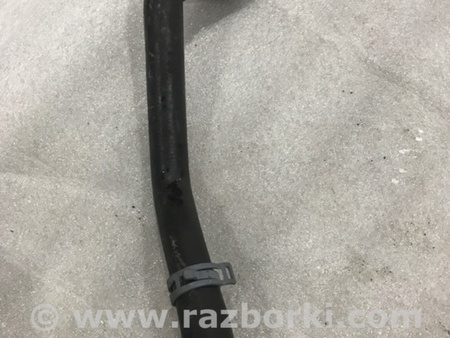 ФОТО Патрубок системы охлаждения для Audi (Ауди) A4 V B9 - 8W (2015-) Київ