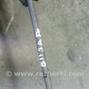 ФОТО Стабилизатор задний для Audi (Ауди) A4 B8 - 8K2, 8K5 (08.2007-11.2015) Киев