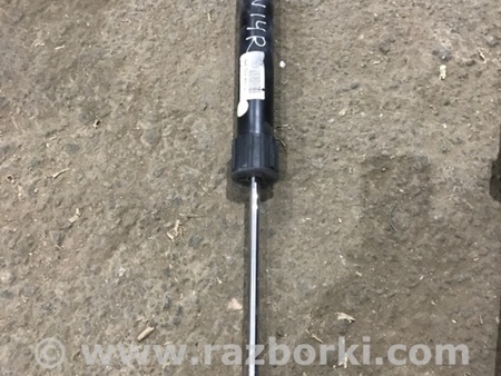 ФОТО Амортизатор подвески для Audi (Ауди) A4 V B9 - 8W (2015-) Київ