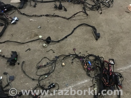 ФОТО Электропроводка для Audi (Ауди) A4 V B9 - 8W (2015-) Київ