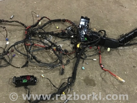 ФОТО Электропроводка для Audi (Ауди) A4 V B9 - 8W (2015-) Київ