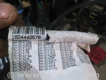 ФОТО Электропроводка для Audi (Ауди) A4 V B9 - 8W (2015-) Київ