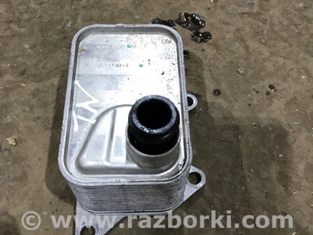 ФОТО Радиатор масляный для Audi (Ауди) A4 V B9 - 8W (2015-) Київ