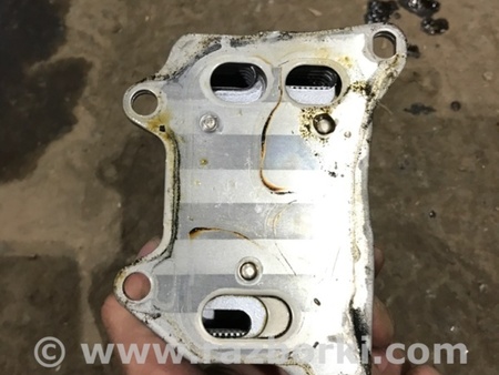 ФОТО Радиатор масляный для Audi (Ауди) A4 V B9 - 8W (2015-) Київ