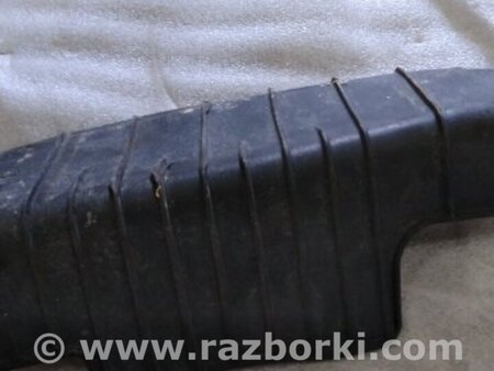 ФОТО Защитный кожух для Audi (Ауди) A4 V B9 - 8W (2015-) Київ