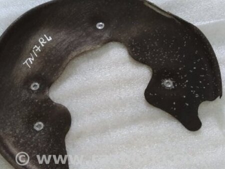 ФОТО Пыльник тормозного диска для Porsche Macan I 95B +FL (13-18) Київ