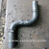 Патрубок Subaru Outback
