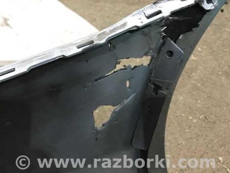 ФОТО Бампер для Audi (Ауди) A4 V B9 - 8W (2015-) Київ