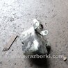 ФОТО Защита для Subaru Outback Киев