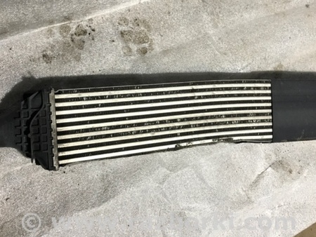 ФОТО Интеркулер для Audi (Ауди) A4 V B9 - 8W (2015-) Київ