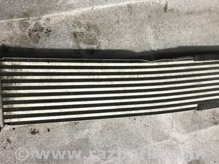 ФОТО Интеркулер для Audi (Ауди) A4 V B9 - 8W (2015-) Київ