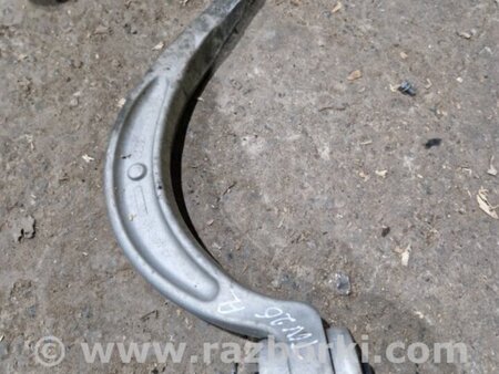 ФОТО Рычаг подвески для Audi (Ауди) A4 V B9 - 8W (2015-) Київ