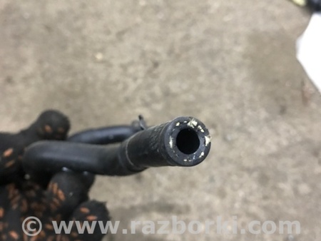 ФОТО Патрубок системы охлаждения для Audi (Ауди) A3 III 8V (12-20) Київ