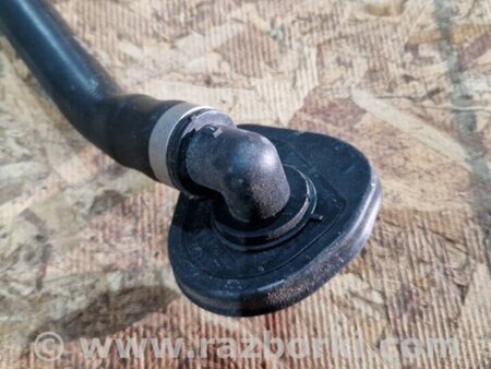 ФОТО Патрубок системы охлаждения для Audi (Ауди) A4 V B9 - 8W (2015-) Київ