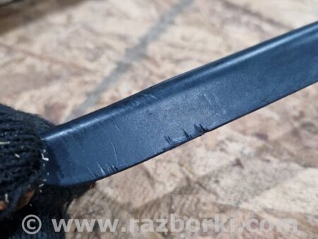 ФОТО Пластик для Audi (Ауди) A4 V B9 - 8W (2015-) Київ