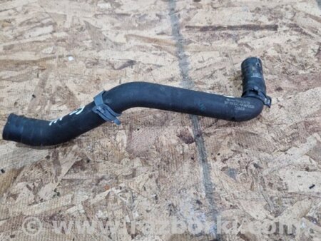 ФОТО Патрубок системы охлаждения для Audi (Ауди) A4 V B9 - 8W (2015-) Київ