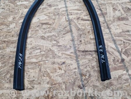 ФОТО Уплотнительная резинка для Audi (Ауди) A4 V B9 - 8W (2015-) Київ