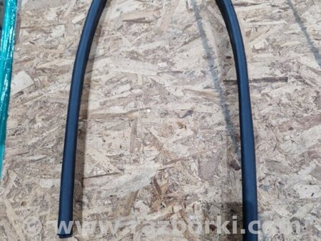 ФОТО Уплотнительная резинка для Audi (Ауди) A4 V B9 - 8W (2015-) Київ