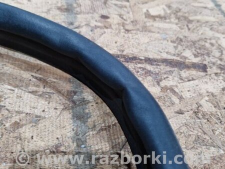 ФОТО Уплотнительная резинка для Audi (Ауди) A4 V B9 - 8W (2015-) Київ