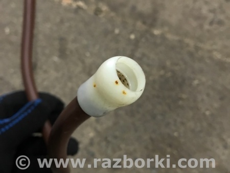 ФОТО Шланг вентиляционный для Audi (Ауди) A4 V B9 - 8W (2015-) Київ