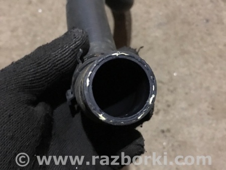 ФОТО Патрубок системы охлаждения для Audi (Ауди) A4 V B9 - 8W (2015-) Київ