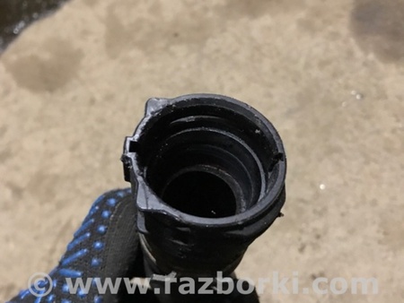 ФОТО Патрубок системы охлаждения для Audi (Ауди) A4 V B9 - 8W (2015-) Київ