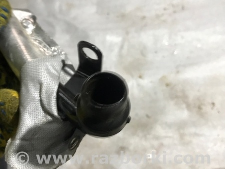 ФОТО Патрубок системы охлаждения для Audi (Ауди) A4 V B9 - 8W (2015-) Київ