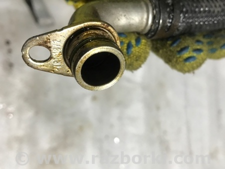 ФОТО Трубка охлаждения турбины для Audi (Ауди) A4 V B9 - 8W (2015-) Київ