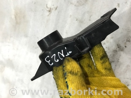 ФОТО Пластик для Audi (Ауди) A4 V B9 - 8W (2015-) Київ