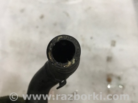 ФОТО Патрубок системы охлаждения для Audi (Ауди) A4 V B9 - 8W (2015-) Київ