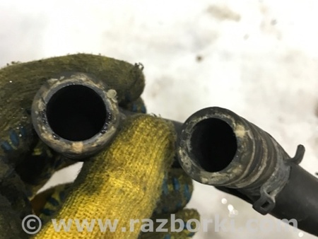 ФОТО Патрубок системы охлаждения для Audi (Ауди) A4 V B9 - 8W (2015-) Київ