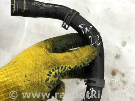 ФОТО Патрубок системы охлаждения для Audi (Ауди) A4 V B9 - 8W (2015-) Київ