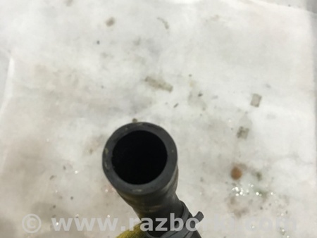 ФОТО Патрубок системы охлаждения для Audi (Ауди) A4 V B9 - 8W (2015-) Київ