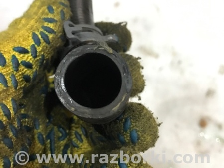 ФОТО Патрубок системы охлаждения для Audi (Ауди) A4 V B9 - 8W (2015-) Київ