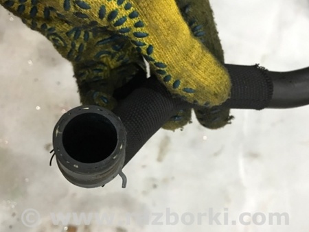 ФОТО Патрубок системы охлаждения для Audi (Ауди) A4 V B9 - 8W (2015-) Київ