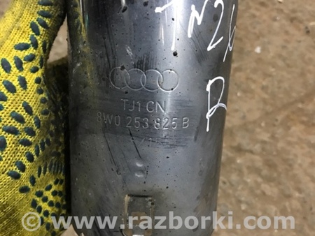 ФОТО Насадка на глушитель для Audi (Ауди) A4 V B9 - 8W (2015-) Київ