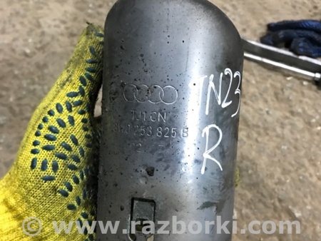 ФОТО Насадка на глушитель для Audi (Ауди) A4 V B9 - 8W (2015-) Київ