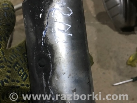 ФОТО Насадка на глушитель для Audi (Ауди) A3 III 8V (12-20) Київ