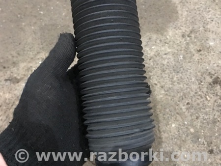 ФОТО Пыльник амортизатора для Porsche Cayenne II 958 E2/92A (10-14) Київ