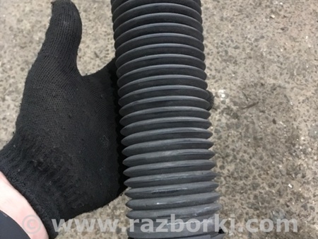 ФОТО Пыльник амортизатора для Porsche Cayenne II 958 E2/92A (10-14) Київ