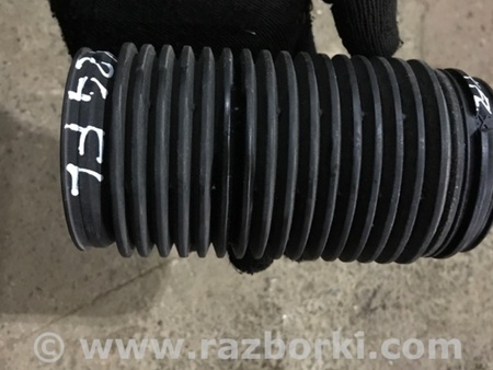 ФОТО Пыльник амортизатора для Audi (Ауди) A3 III 8V (12-20) Київ