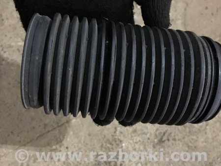 ФОТО Пыльник амортизатора для Audi (Ауди) A3 III 8V (12-20) Київ