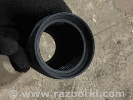 ФОТО Пыльник амортизатора для Audi (Ауди) A3 III 8V (12-20) Київ