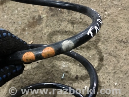 ФОТО Пружина подвески для Audi (Ауди) A3 III 8V (12-20) Київ