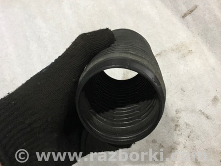 ФОТО Пыльник амортизатора для Audi (Ауди) A3 III 8V (12-20) Київ