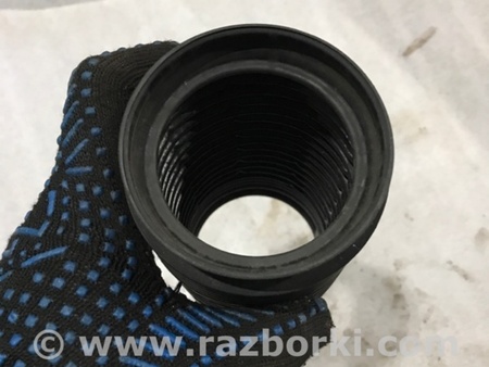 ФОТО Пыльник амортизатора для Audi (Ауди) A3 III 8V (12-20) Київ