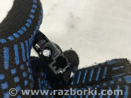 ФОТО Динамик для Audi (Ауди) Q3 II F3 (18-25) Київ