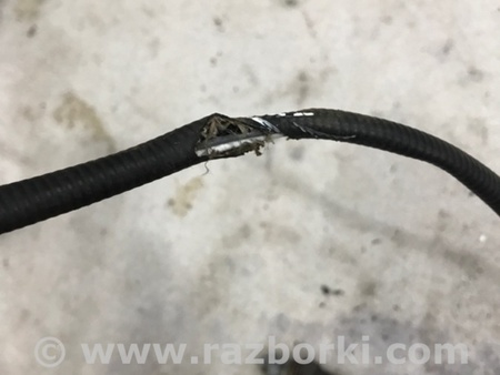 ФОТО Датчик кислородный для Porsche Cayenne II 958 E2/92A (10-14) Київ